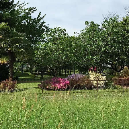 Mariposa Bed & Breakfast *