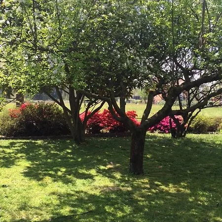 Mariposa Bed & Breakfast