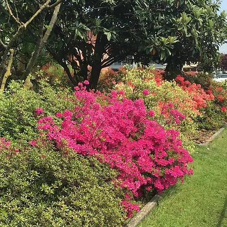 Mariposa Bed & Breakfast *