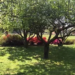 Mariposa Oda ve Kahvaltı