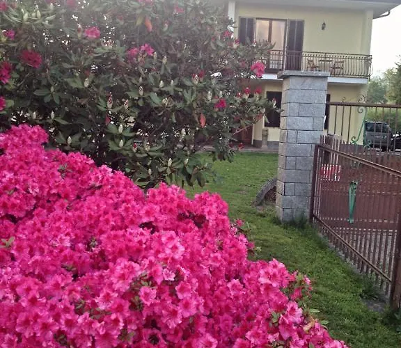Panzió Mariposa